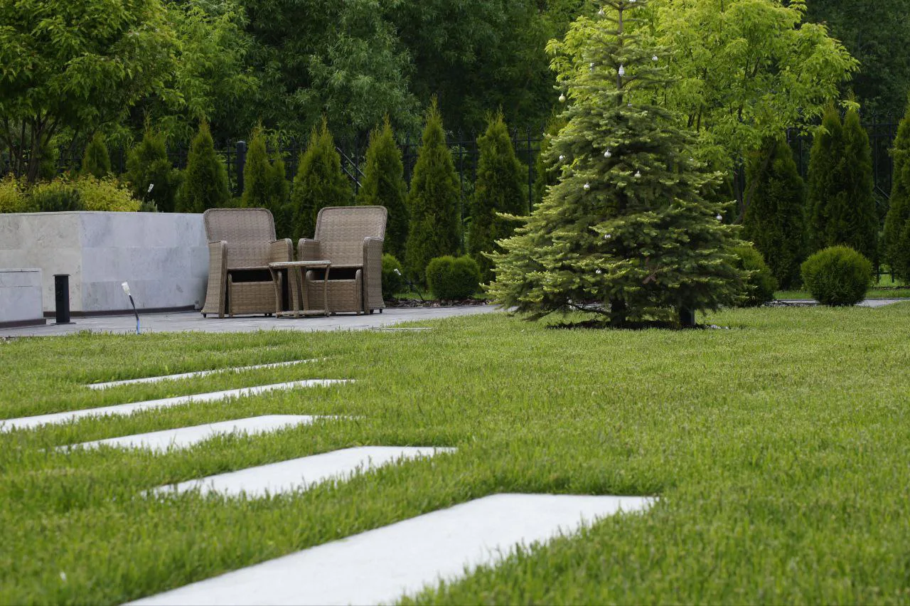 Газон с пошаговой дорожкой, елью и зоной отдыха в проекте «Синергия»